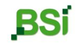 BSI logo internet.jpg